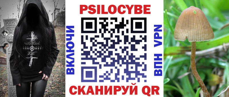 Псилоцибиновые грибы прущие грибы  shop Telegram  Спас-Деменск  как найти закладки 